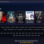 Interface du site Filmoflix montrant le catalogue de films en streaming