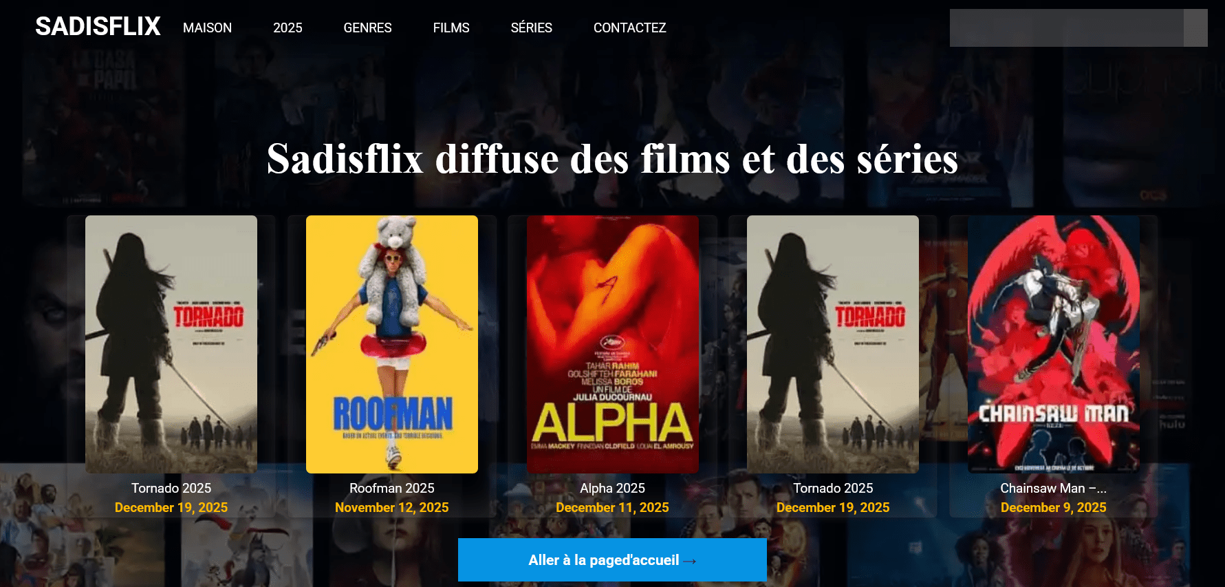 Interface principale de Sadisflix avec catalogue de films 2026