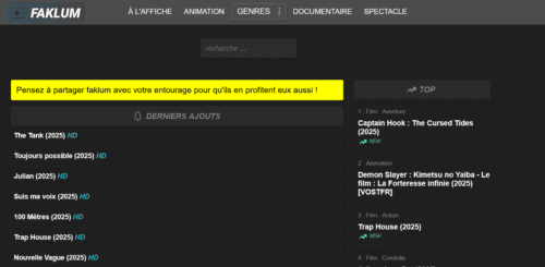 Faklum : La Nouvelle Adresse Officielle 2026 Suite aux Blocages 8 comment acceder a faklum film