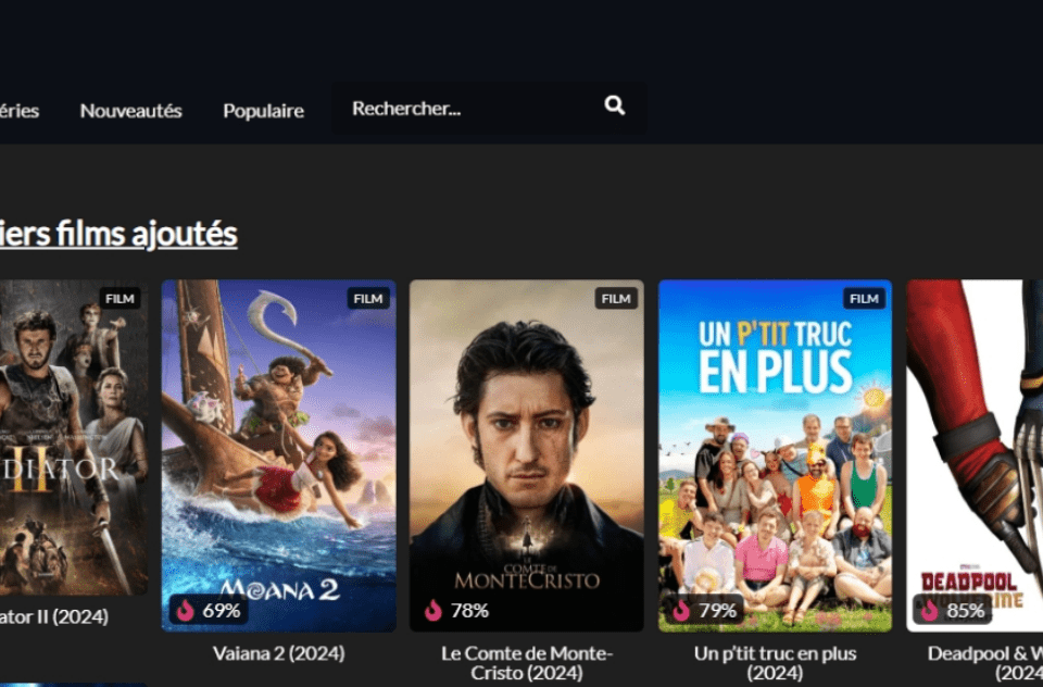 Interface du site Pigraz montrant le catalogue de films et séries en 2026