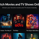 Capture d'écran de l'interface Vorviz montrant le catalogue de films en streaming